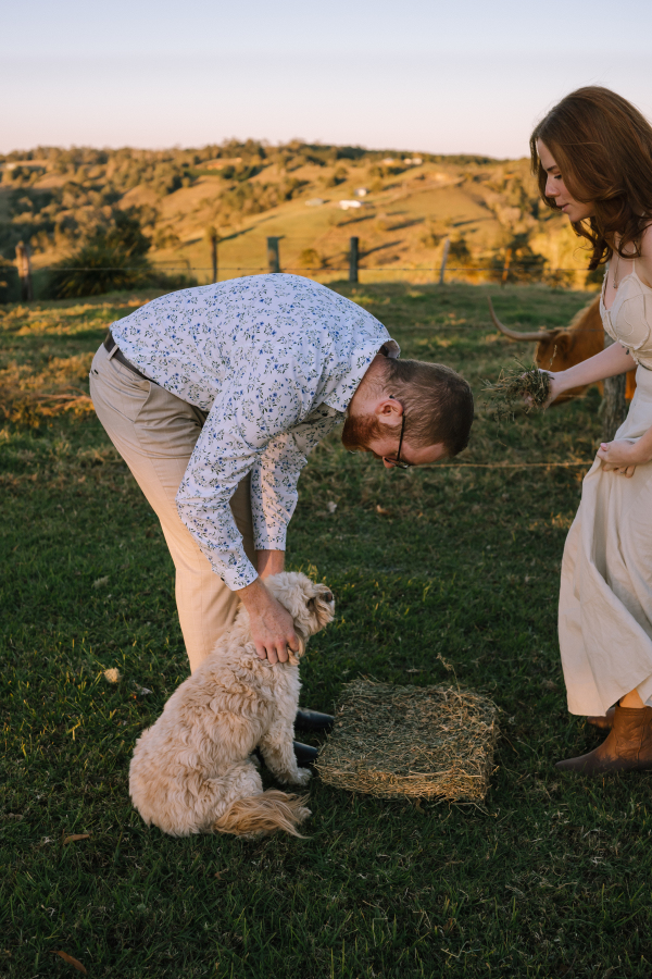 couples engagement shoot with pup in maleny, sunshine coast
