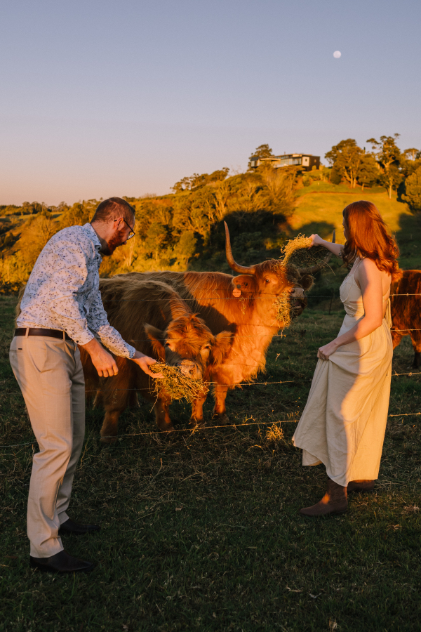 Country-style engagement session in Maleny, sunshine coast hinterland