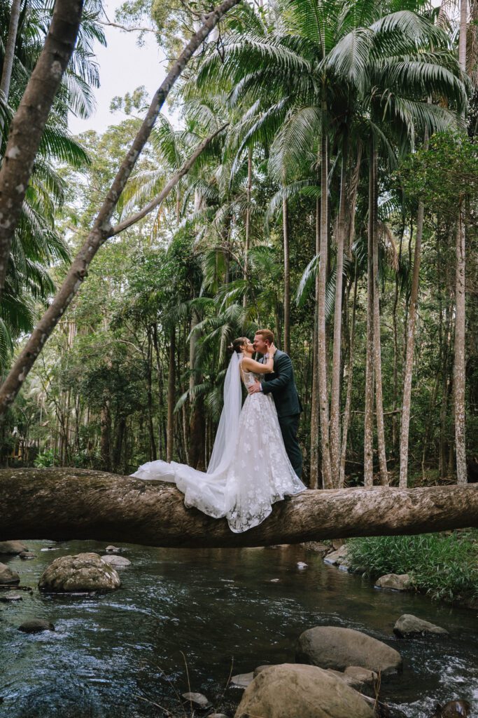 editorial wedding portrait of couple kissing in the sunshine coast rainforest 